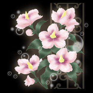 キャラクター 無窮花 キャラクター 無窮花